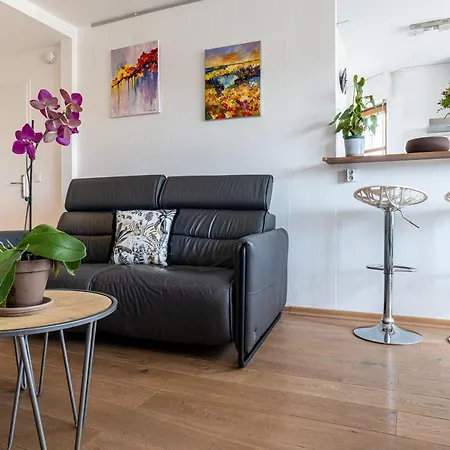 Le Charles Albert Apartment Annecy